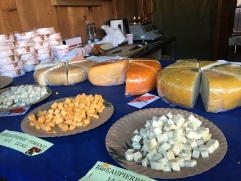 גבינות מצויינות